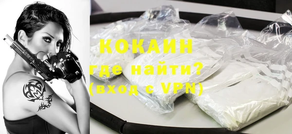 ешки Алексин