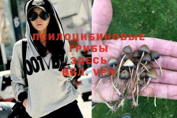 винт Пестово
